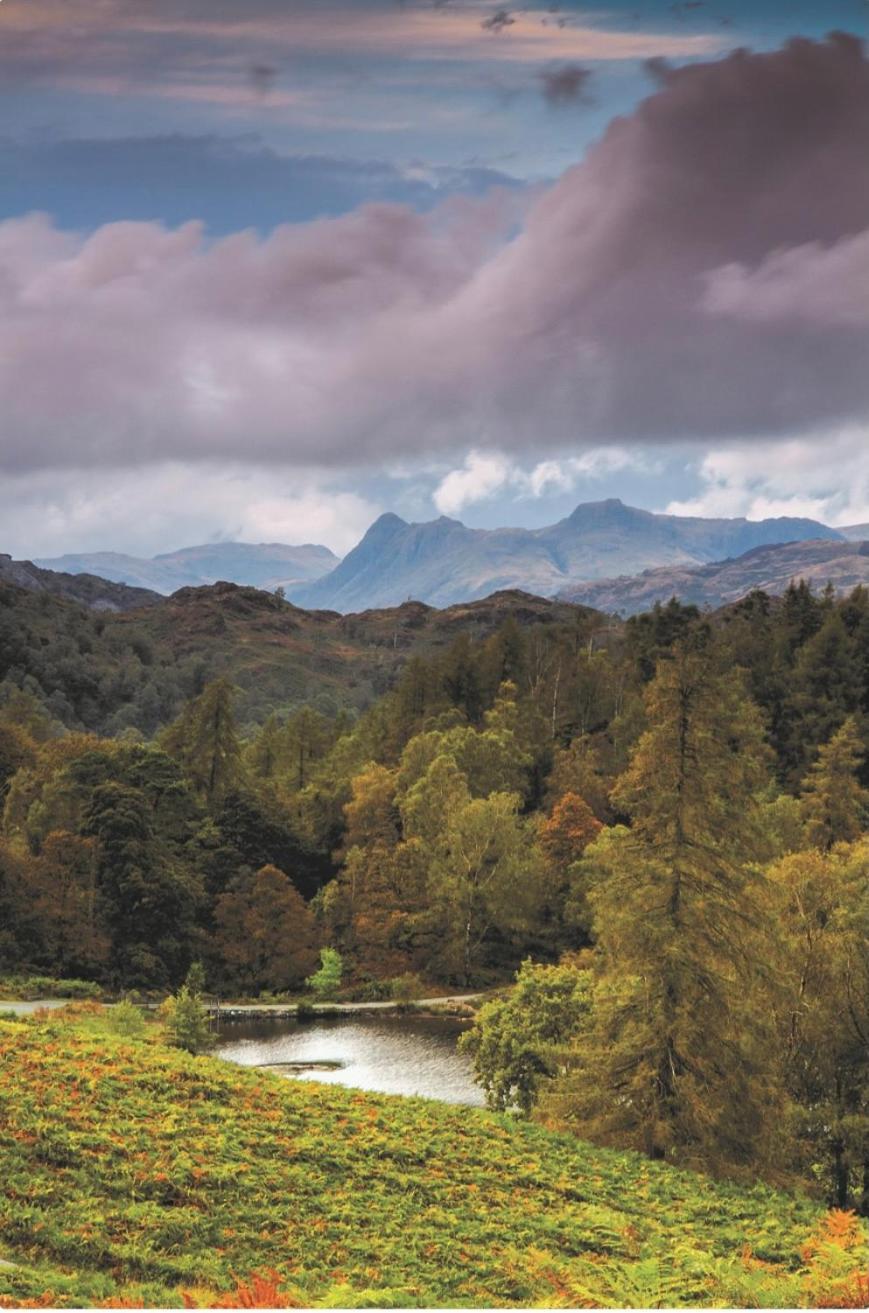 Yewfield Self Catering Apartments Hawkshead Bagian luar foto